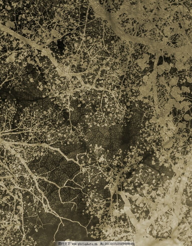 泽旺多吉的歌简谱图片分享下载