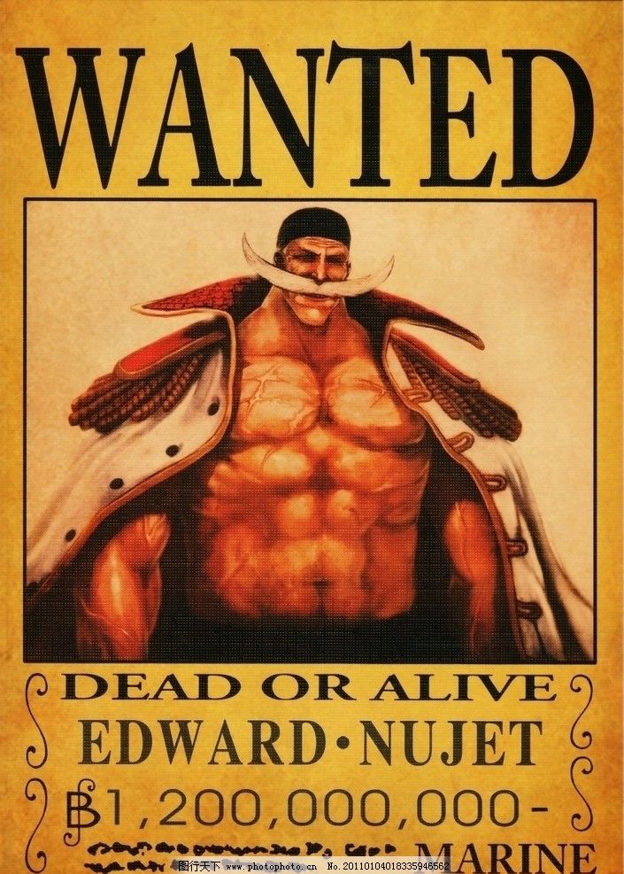 海贼王 通缉令 白胡子 爱德华·纽杰特图片