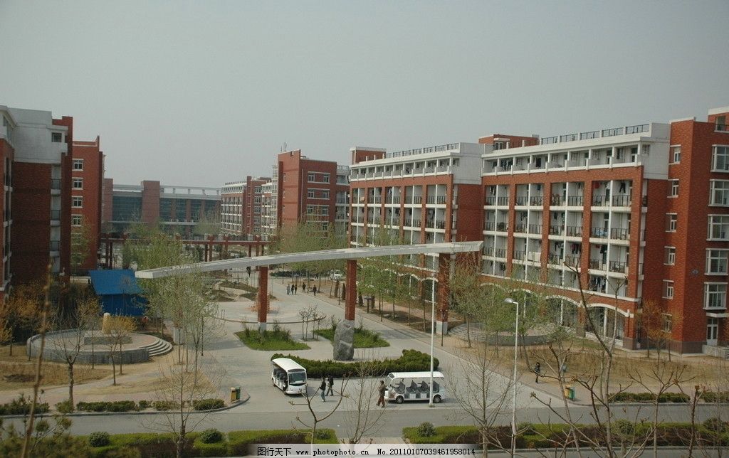 郑州大学 郑州大学校园 大学校园 郑大新校区 路 树木 建筑 宿舍楼图片