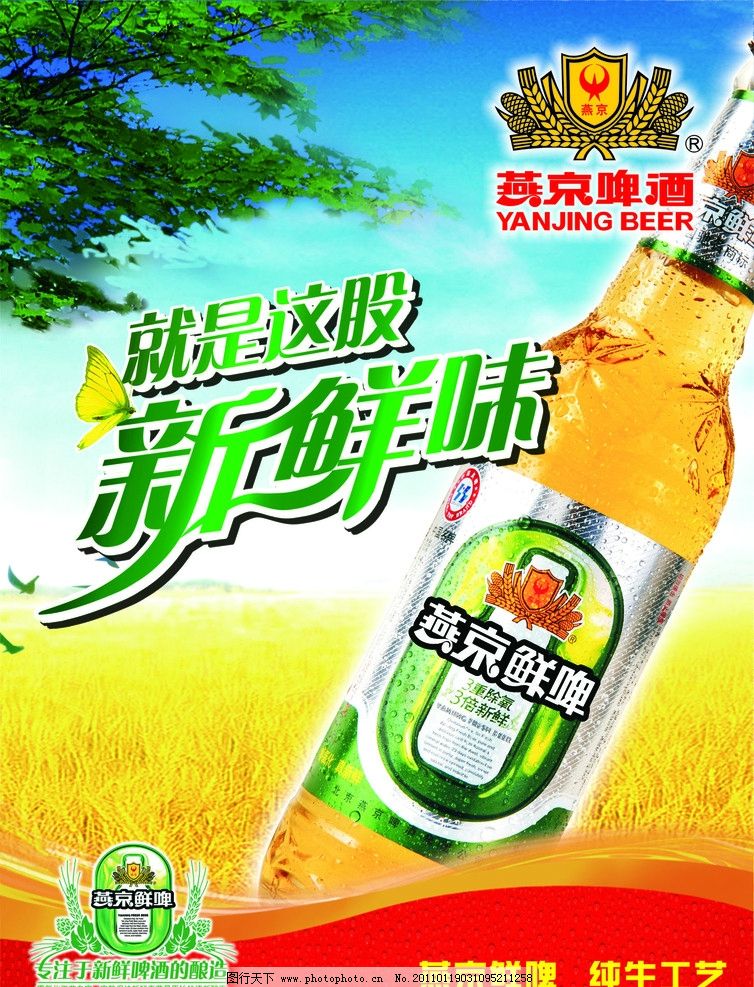 书香燕京征文1000字