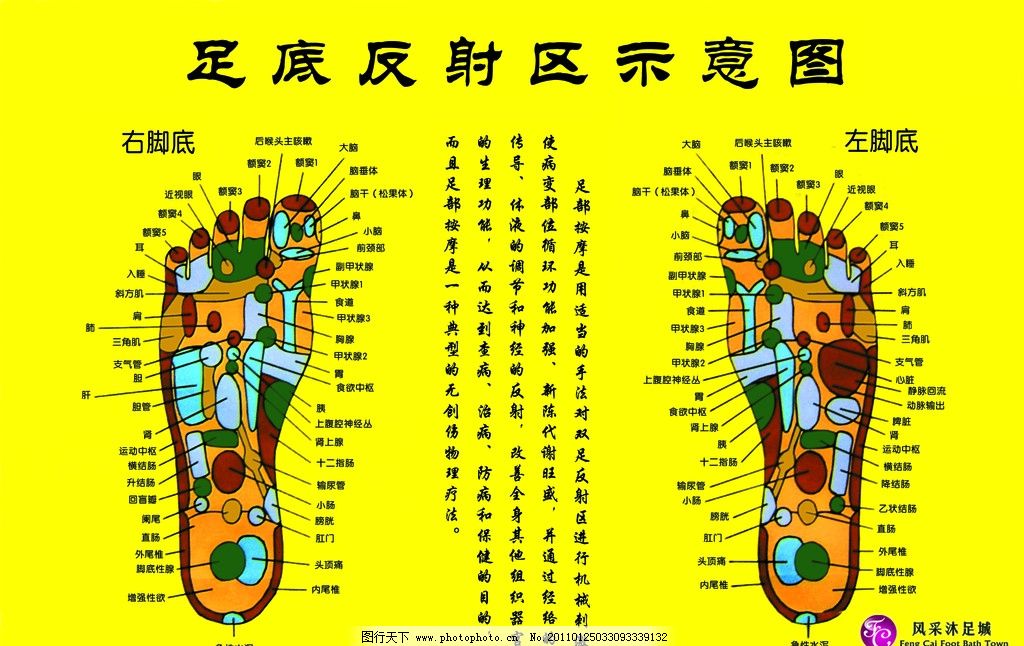 手掌穴位反射区,雨果奖作品,超人前传第四季暴风,代号蝴蝶电视剧全集
