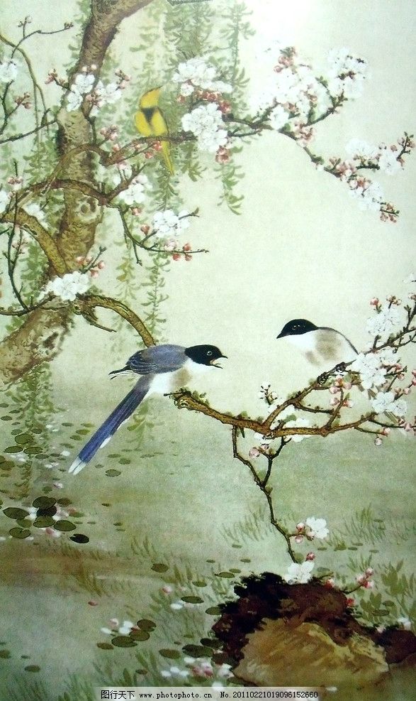 山水 花鸟-国画山水 花鸟图片