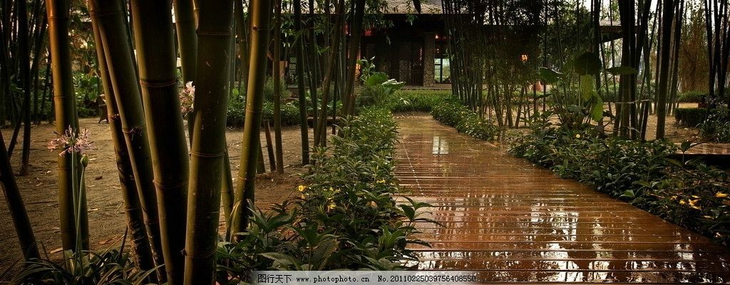 园林景观 铺装 欧式 夜景 别墅花园 园林建筑 建筑园林 摄影 其他 72